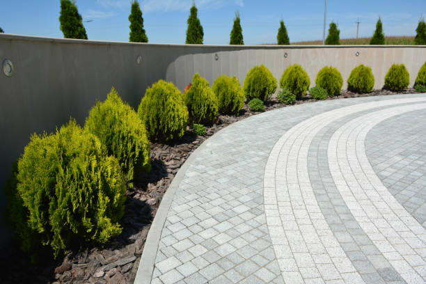 Best Driveway Pavers Near Me  in Wildwood, FL